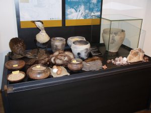 Ausstellung "Mit Salz, Beil und Rind auf Shopping-Tour, Vitrine Naturalienhandel 2011, Foto: Stadtarchäologie Hall i.T.